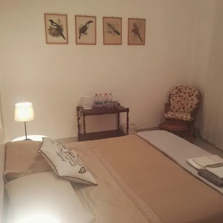 Mazzini 49 Guest house 3*
